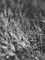 lt;lt;The Heavenly D lt;lt;The Heavenly D