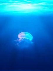 Spoil you in my arms