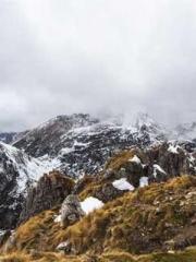 A Second Marriage Mo