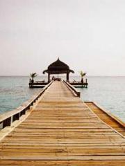 lt;Mr. Bao, Mrs. Bao