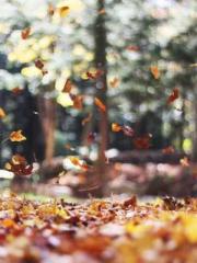 First Era, Dragon Lo