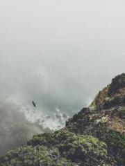 The Rough Man Hunter