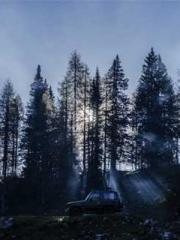 I have seven fairy g I have seven fairy g