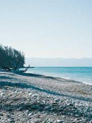 Fu Zi Mo Qin Luo Yan Fu Zi Mo Qin Luo Yan