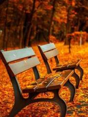 RONG Zhaonan NING Yu