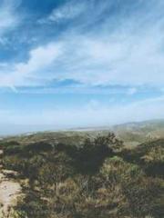 Reborn in 1989: Crea Reborn in 1989: Crea