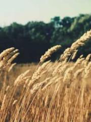 lt;divgt;A Second Ma