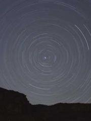 The Little Fox Spiri