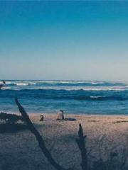 High School Campus S High School Campus S