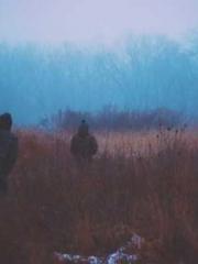 The Beloved Physicia The Beloved Physicia