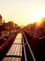 The Imperial Concubi