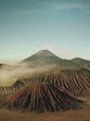 The generalapos;s yo