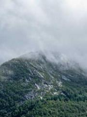 The Rebirth of a Phy