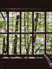 Becoming a Farm Girl