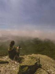 After Transmigrating After Transmigrating