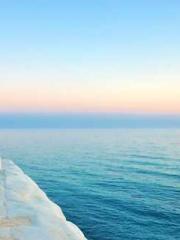 I Picked Up a Cultiv I Picked Up a Cultiv