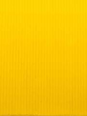 The Best Little Body