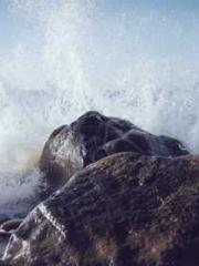 Scarlet Robe Murder Scarlet Robe Murder